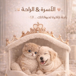 جناح الراحة
