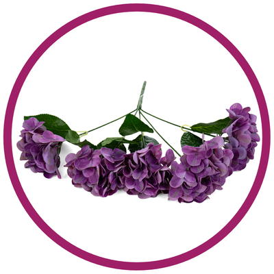 الهدرنجا