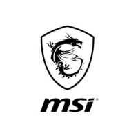 MSI