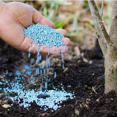 التربة والأسمدة