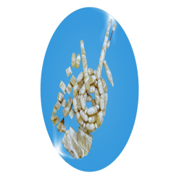 سبح كهرمان