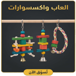 قسم العاب واكسسورات