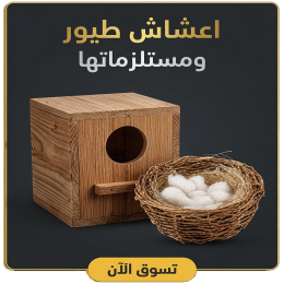 قسم اعشاش الطيور ومستلزماتها