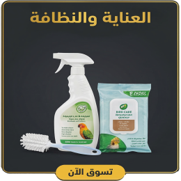 قسم العناية والنظافة
