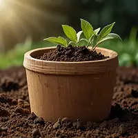 تربة