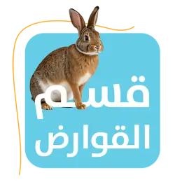 القوارض