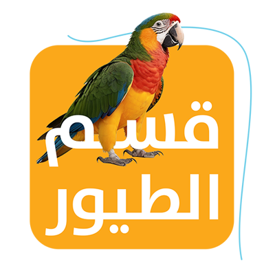 الطيور
