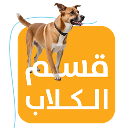 الكلاب
