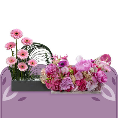 إستاندات