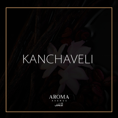 Kanchaveli