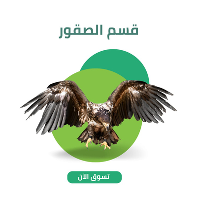 قسم الصقور