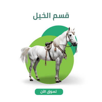 قسم الخيل