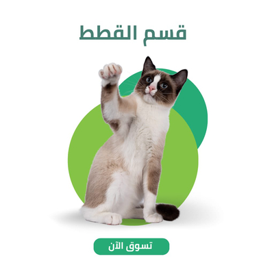 قسم القطط