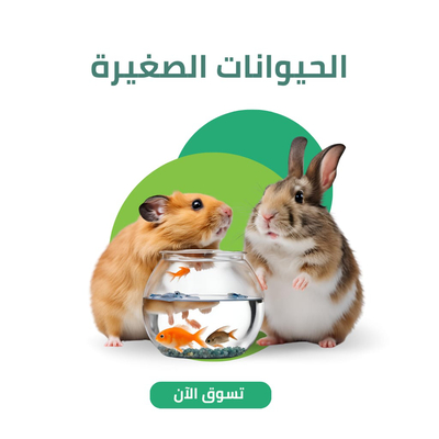 قسم الحيوانات الصغير