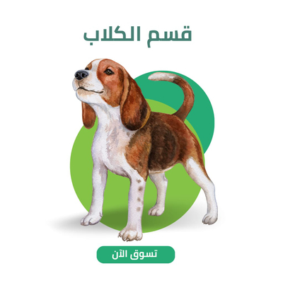 قسم الكلاب