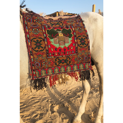زينة خيل