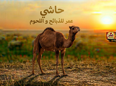 حاشي