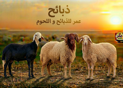 الذبائح