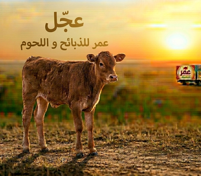 عجل