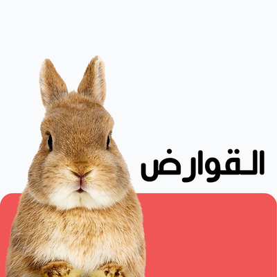 قسم القوارض