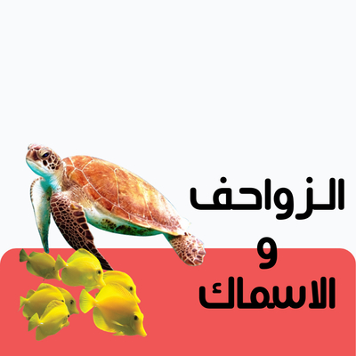 الزواحف و الاسماك