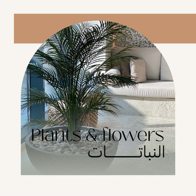 النباتات