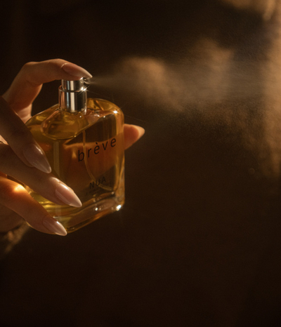العطور