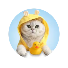 مستلزمات القطط