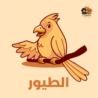 الطيور