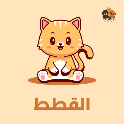 القطط