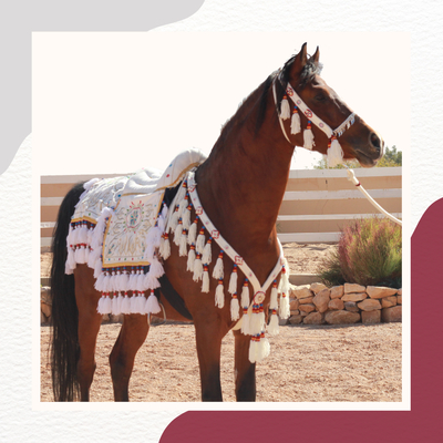 الخيل العربية