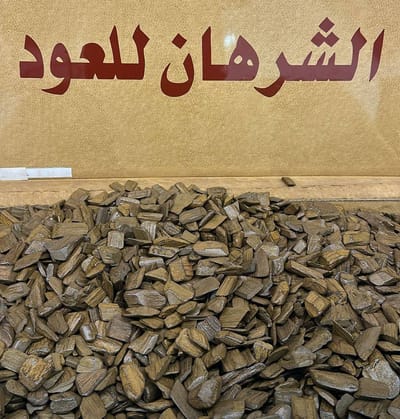 مروكي جذاب 