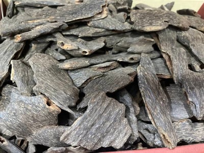 عود بنقالي سوبر مرتفع