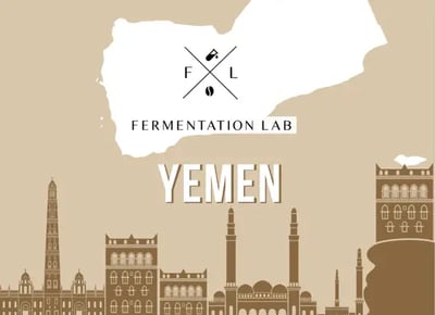 Fermentation Lab | Yemen Haraaz Peaberry Filter 100G