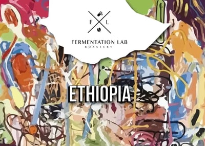 Fermentation Lab | Ethiopia Gesha Village Filter 250G