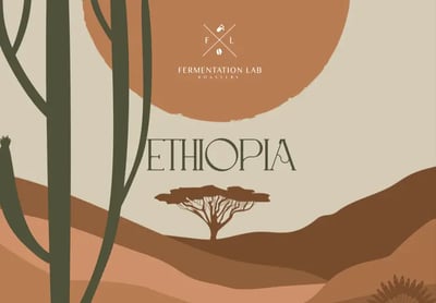  Fermentation Lab | Ethiopia Zaabeel Espresso 250G