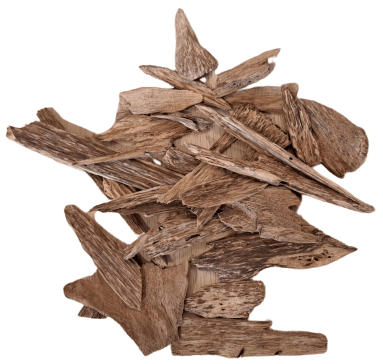 عود سومطري فطع صغير