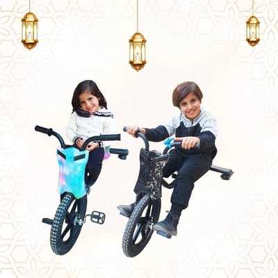الدراجة الهوائية الأنيقة (1+1 )