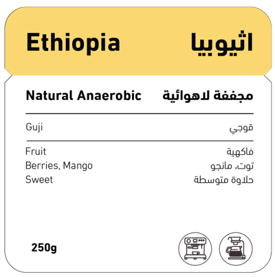 اثيوبيا قوجي (مجففة لاهوائية)