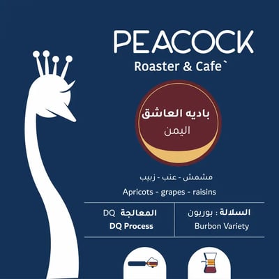 الطاووس | بادية العاشق اليمن 125ج