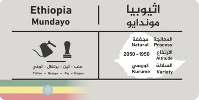 سي اند بي | موندايو اثيوبي