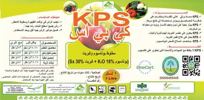كى بى اس  