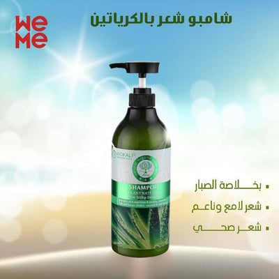 شامبو شعر ضد القشرة بخلاصة الصبار WKL286