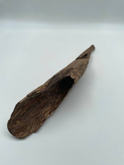 قطعة عود سمباوا نادرة 