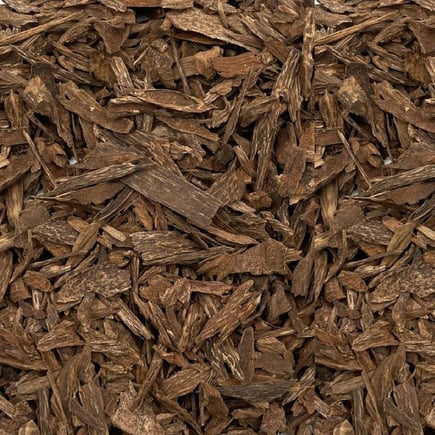 عود سبائك البونتيانك (اندروتر)