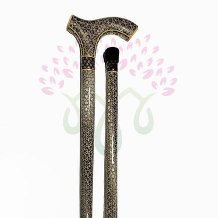 عكاز النخبة