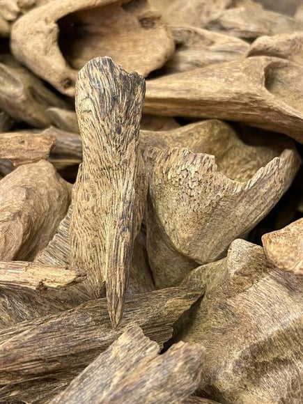 عود الخطوط الثلاثة