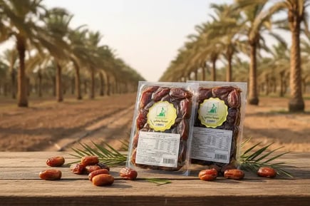 عيدية جامبو ملكي