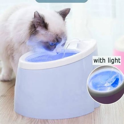 مشربية كهربائية مع اضاءة للقطط