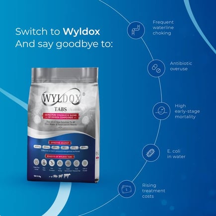Wyldox Taps 1 KG ( 100 Taps )